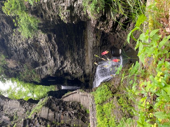 Watkins_Glen_small.jpg