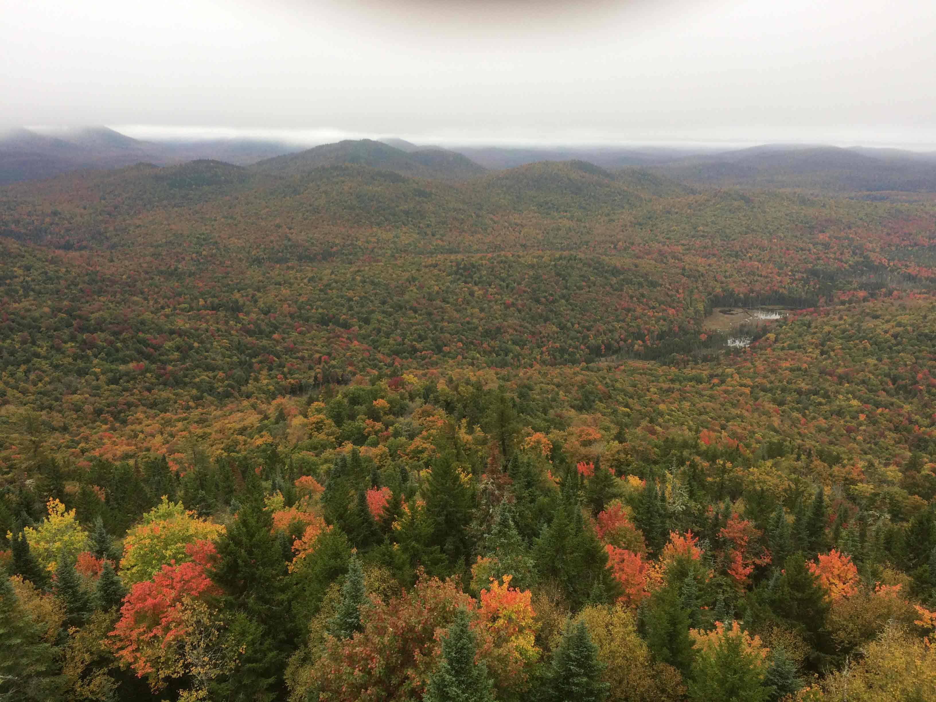 Fire-tower-1-small.jpg