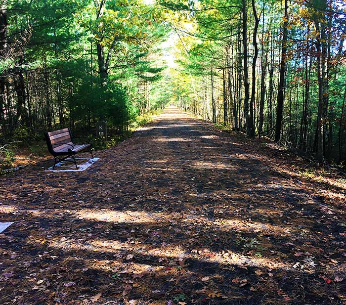 ashokan-rail-trail-wooded.jpg