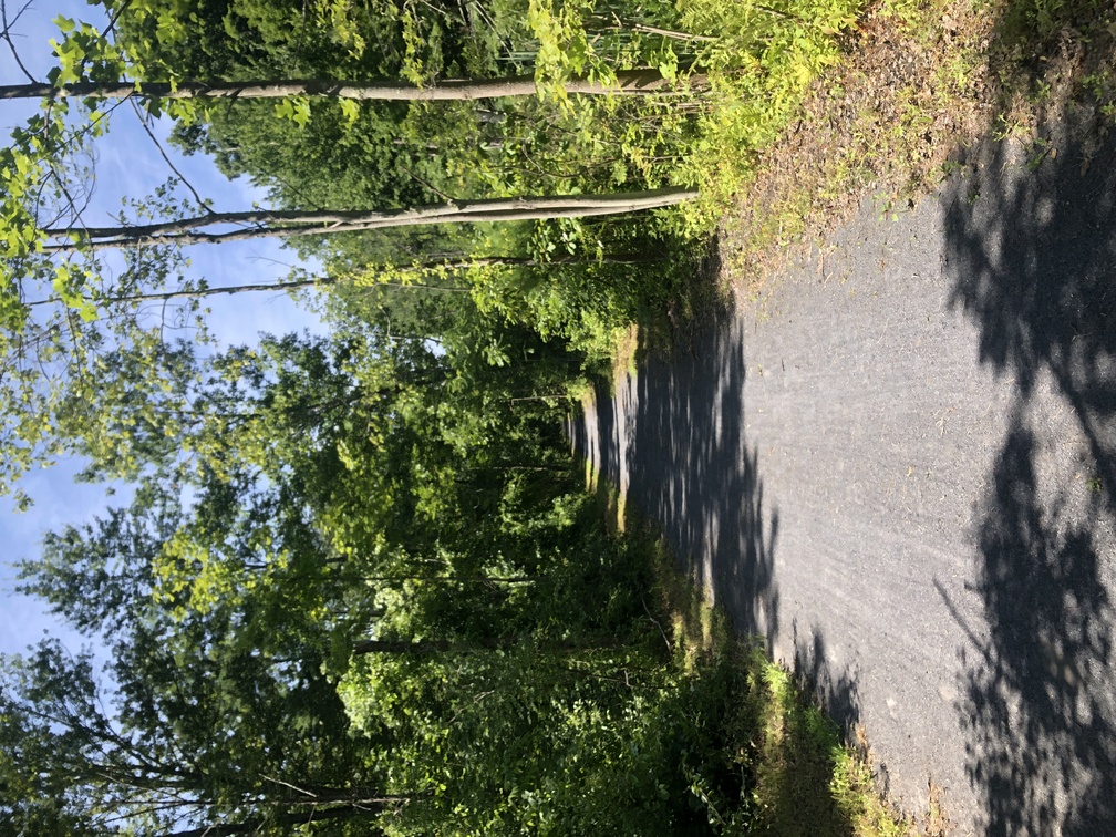 Wallkill Valley Rail Trail