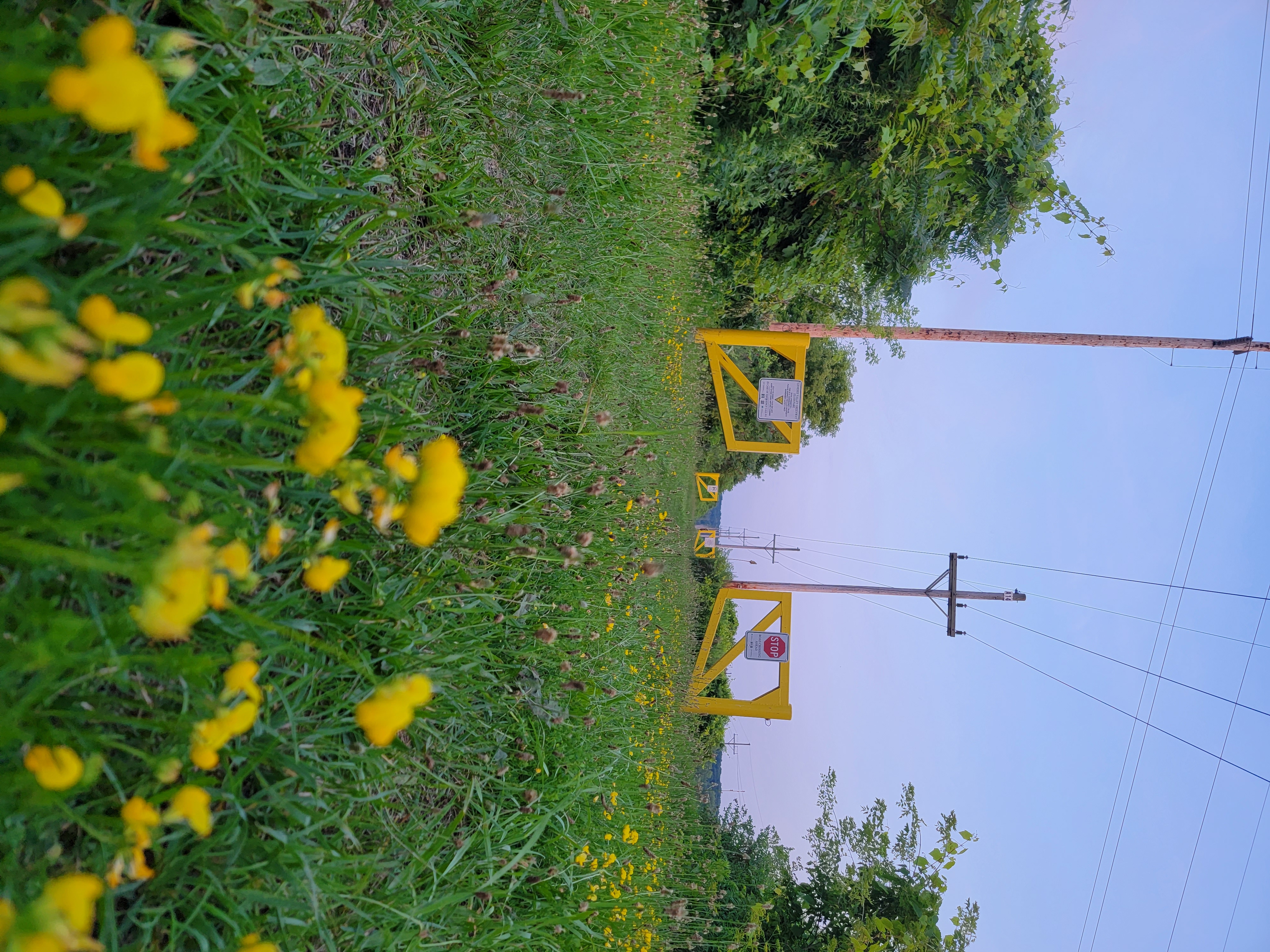 20230710_204349.jpg