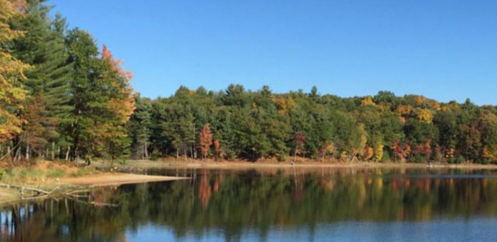 LWCF-lake-trees.jpg