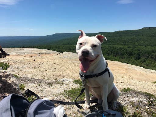 Friday_Minnewaska.jpg