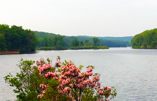 harriman.jpg