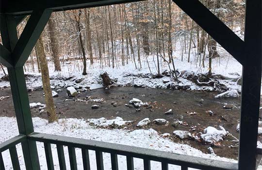 allegany-cabin-view.jpg