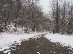 o-w-trail.jpg