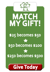 Match-action-button.jpg