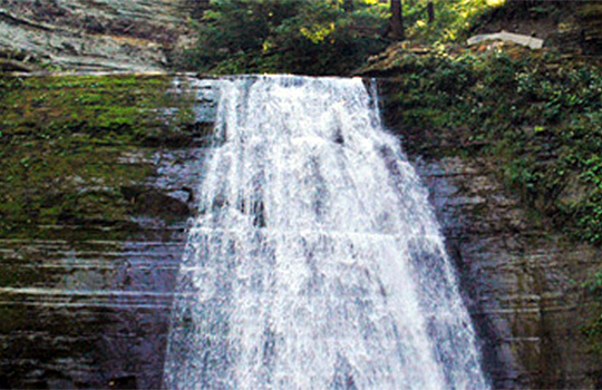 stony-brook.jpg