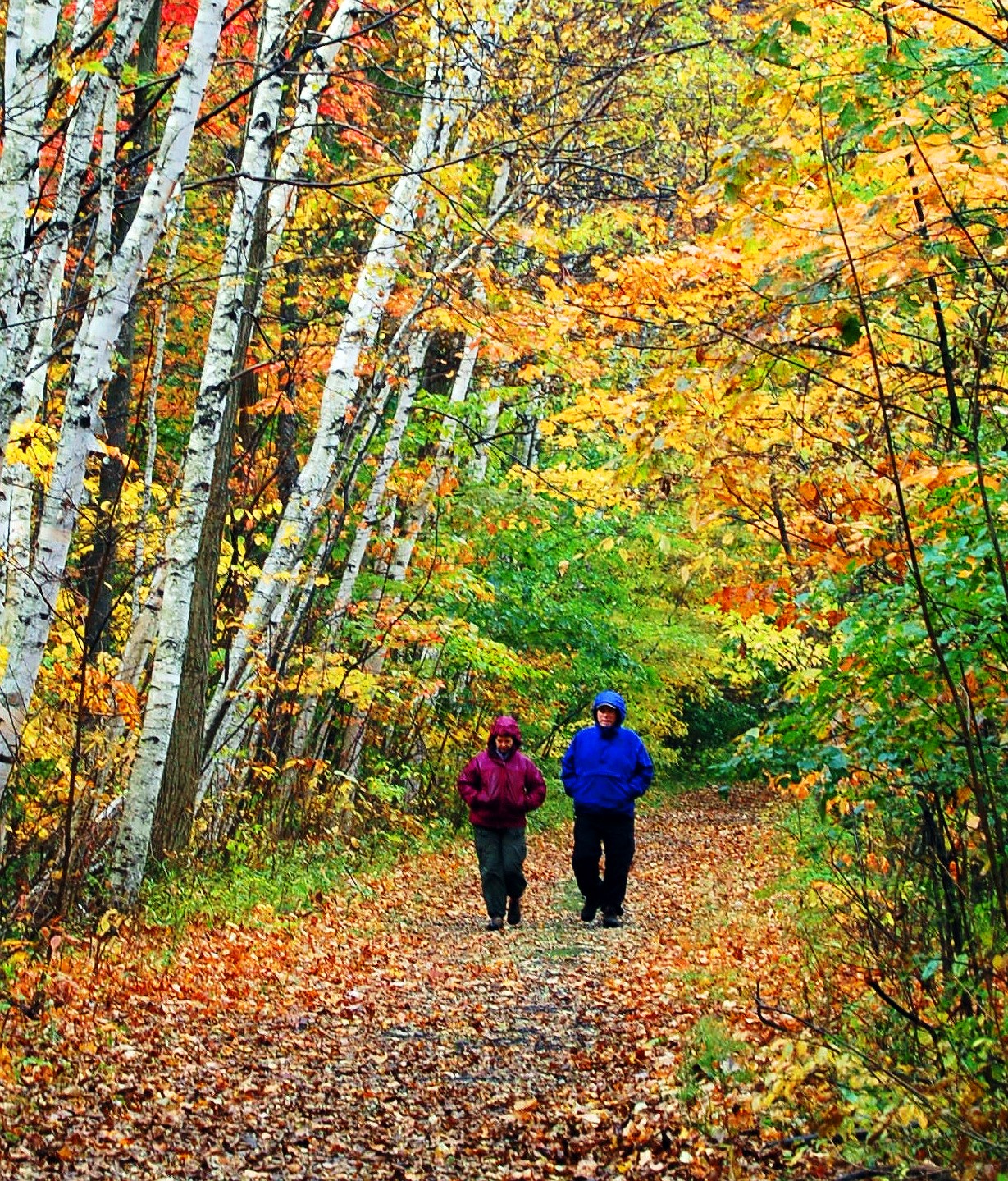 Genesee_Valley_Greenway_Fall_EDIT.jpg