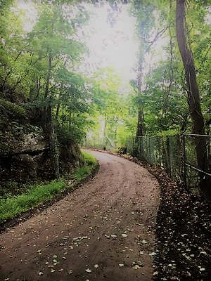 Rockefeller-carriage-trail.jpeg