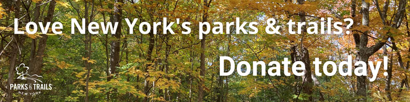 ENews-Donate-Banner.jpg