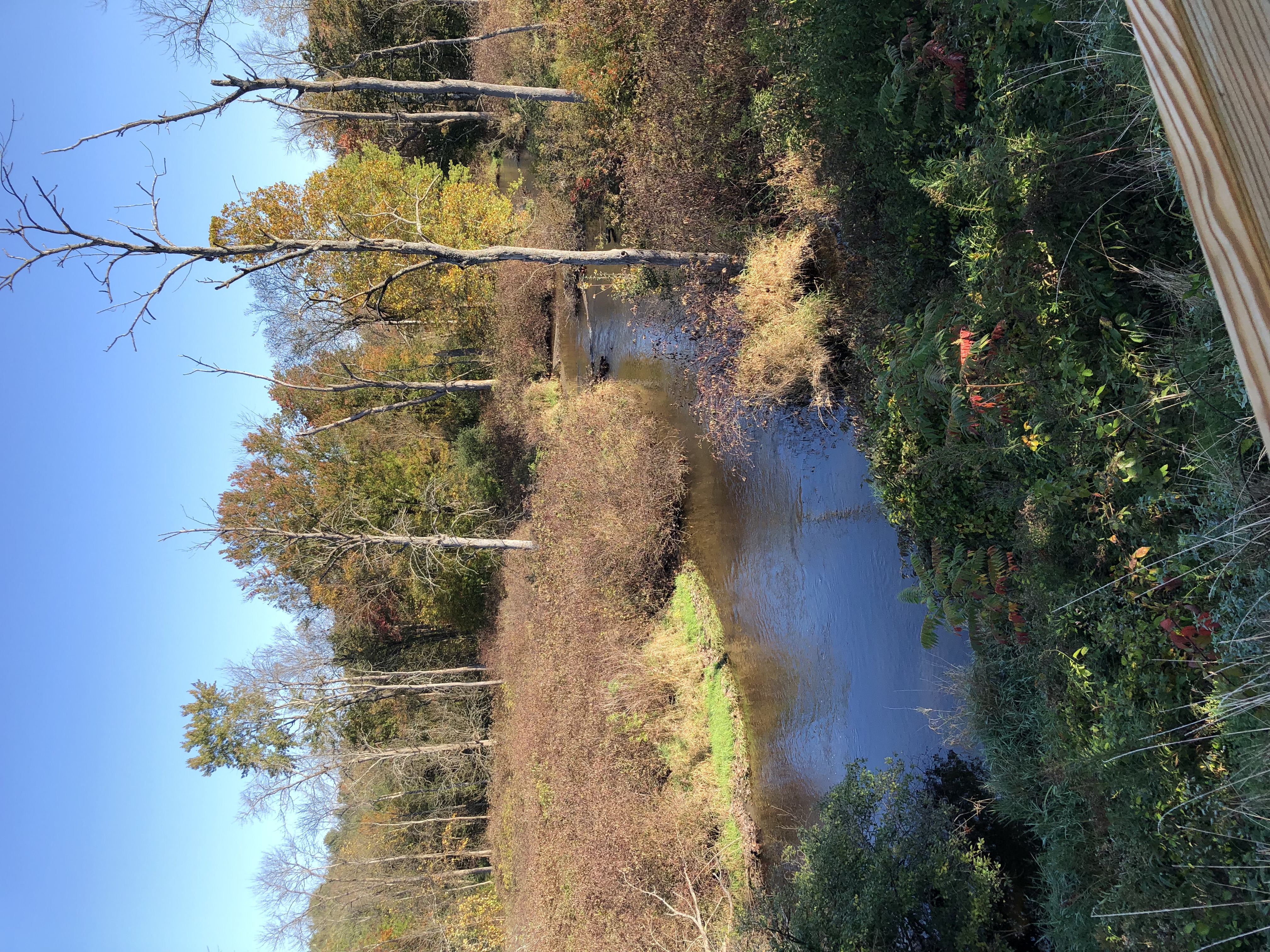 AH_Electric_Trail_Fall_Creek_Columbia_County.jpg