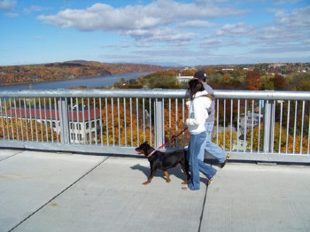 Walkway_Over_the_Hudson_7.jpg